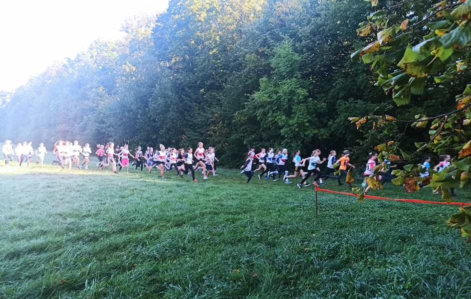 Okresní finále v přespolním běhu - zvětšit obrázek