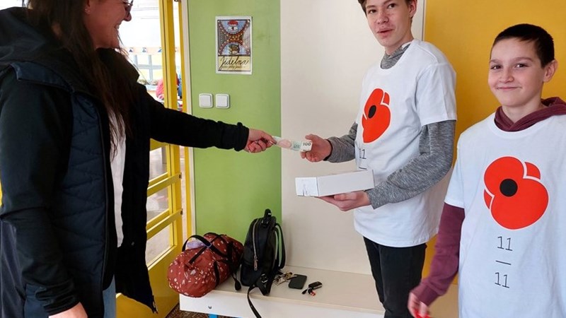 Prodej vlčích máků