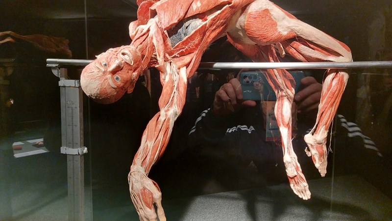 Deváťáci na výstavě Body Worlds v Praze
